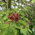 IMG_1361052