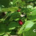 IMG_1361058