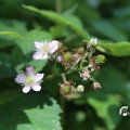IMG_1361059