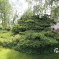 IMG_1361061