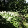 IMG_1361066