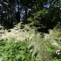 IMG_1361070