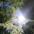 IMG_1361074