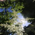 IMG_1361076