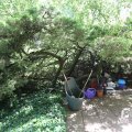 IMG_1361077