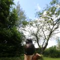 IMG_1361095