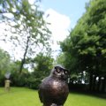 IMG_1361097