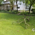 IMG_1361099