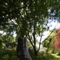 IMG_1361124