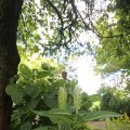 IMG_1361125