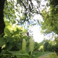 IMG_1361126