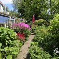 IMG_1361128