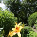 IMG_1361146