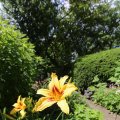 IMG_1361147