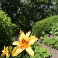 IMG_1361148