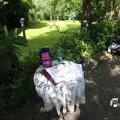 IMG_1361156