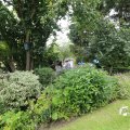 IMG_1361174