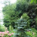 IMG_1361177