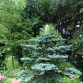 IMG_1361178