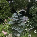 IMG_1361182