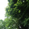 IMG_1361191