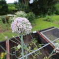 IMG_1361207