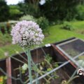 IMG_1361210
