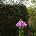 IMG_1361214