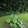IMG_1361219