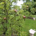 IMG_1361222