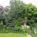 IMG_1361236