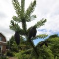 IMG_1361248