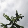 IMG_1361249