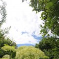 IMG_1361279