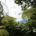IMG_1361285