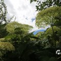 IMG_1361287