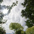 IMG_1361290