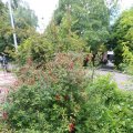 IMG_1361294