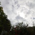 IMG_1361296
