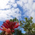 IMG_1361317