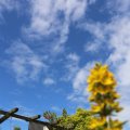 IMG_1361335