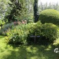 IMG_1361343