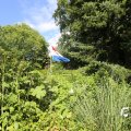 IMG_1361353