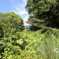 IMG_1361354
