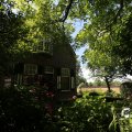 IMG_1361369