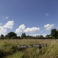 IMG_1361378