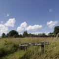 IMG_1361379