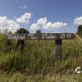 IMG_1361381