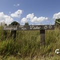 IMG_1361383