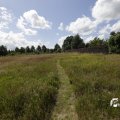 IMG_1361392